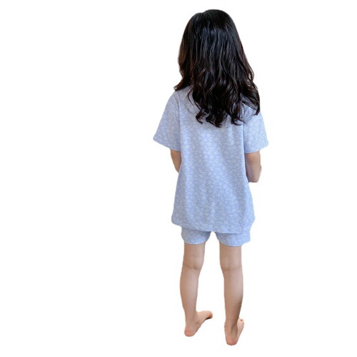 Elsa Princess Children's Homecoming Set Autumn and Winter Girl's Two-Piece Pajama Set with Long-Sleeved Top and Pants Sleep Dress