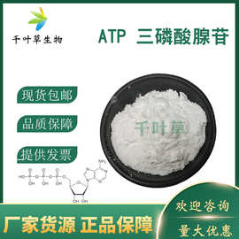 三磷酸腺苷 ATP  99% 水溶 100g/袋 cas 56-65-5  ATP二钠盐