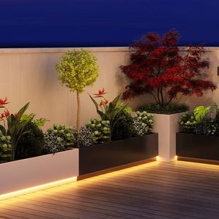 ����ͥԺ���@�����쾰�̨����M��¶̨��л��۵���Gֲ����