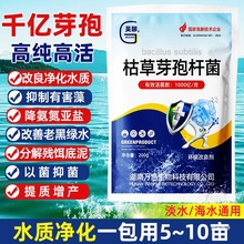 1000 �|�߻��Կݲ�ѿ�ߗU���ĵ׷ֽ��ЙC�|ˮ��ˮ�a��ˮѿ�ߗU��