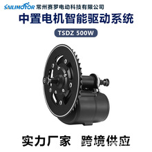 同盛中置电机TSDZ2B 500W电动自行车套件山地车自行车仪表