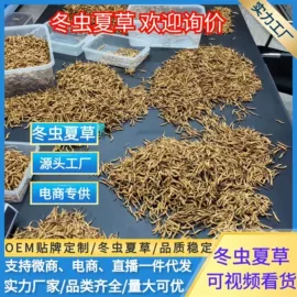 海参;燕窝;冬虫夏草