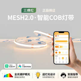 三棵松24V双色智能灯带COB变光条形线条灯流水软灯条批发LED灯