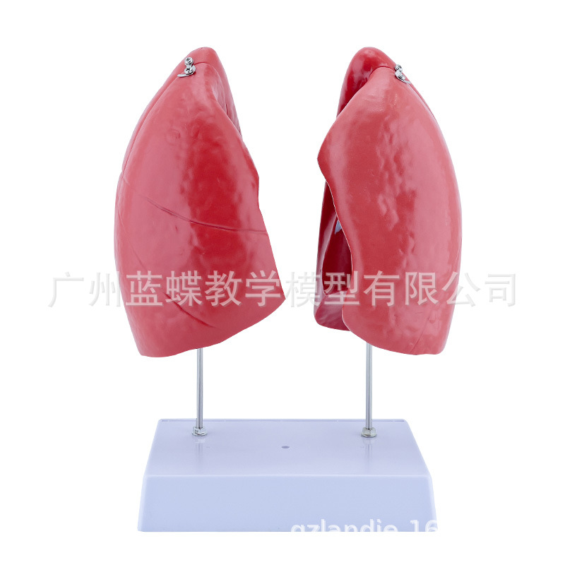 ��Ȼ��ν��� ҽѧ����ζην���ģ�� ����ϵͳ�ζ�����ƺ�����