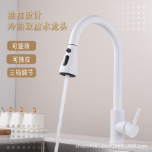 廚房抽拉水龍頭洗菜盆冷熱凈水槽雙刮洗萬向搖擺飛雨跨境北美工程