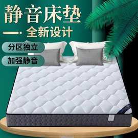 弹簧床垫夏季超厚乳胶床垫两用椰棕硬垫独立弹簧床垫10cm厚超舒适