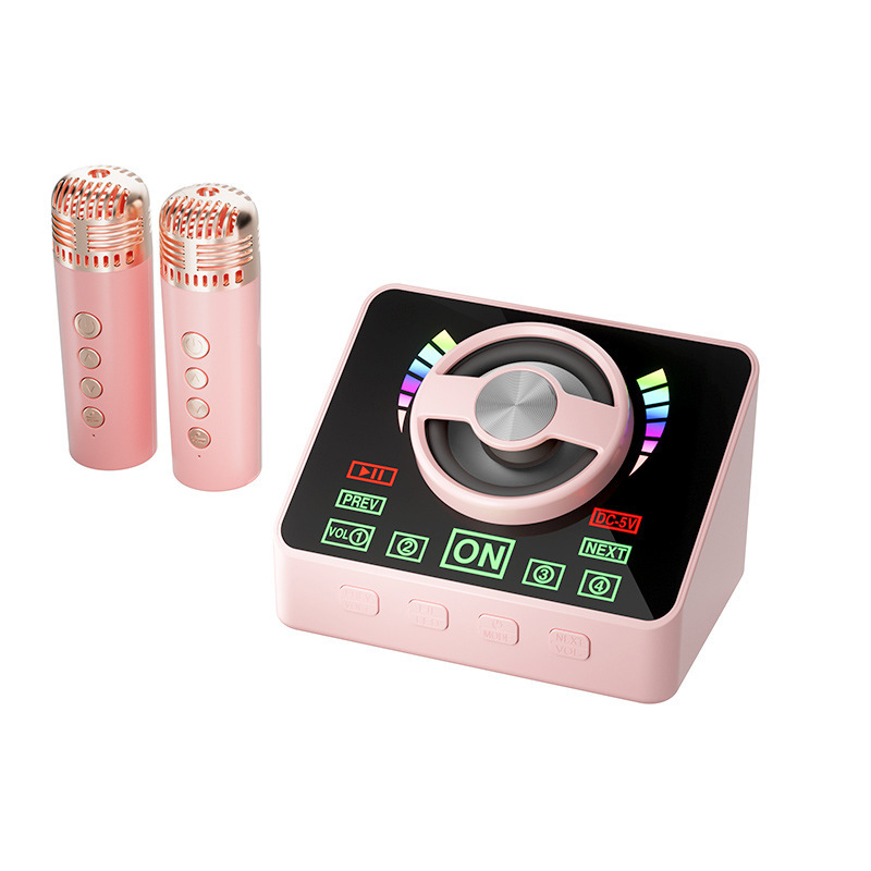 K12K30 Bluetooth カラオケ オーディオ オールインワン マイク マイク ライト付き アウトドア 子供 家族 KTV スピーカー セット|undefined