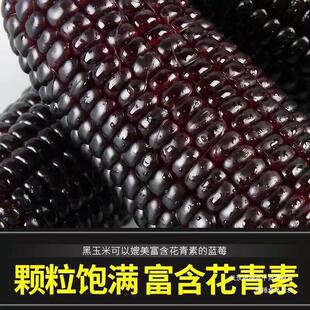 10������b���r��Ŵ���װ���Ŵ���װ���ճŴ������