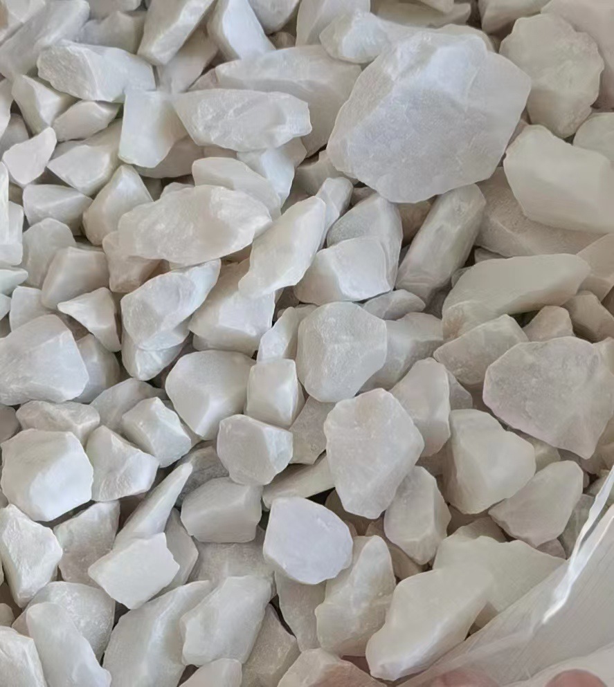 微信图片_20250304102930