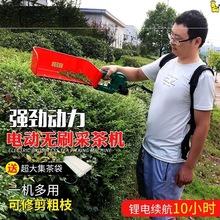 电动采茶机单人小型便携无刷茶树树枝修剪绿篱机自动茶叶采摘神器