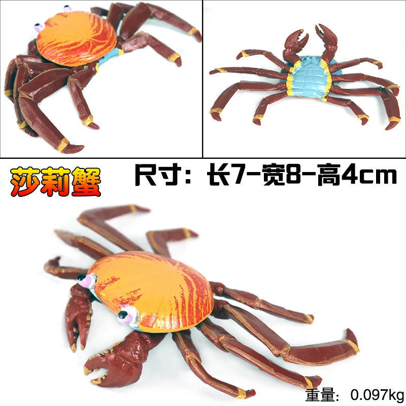 Игрушка, большие морские когнитивные украшения