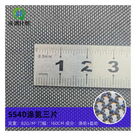 5540涤氨网三片经编网布内衣柔软贴肤网布内衣时装弹力面料