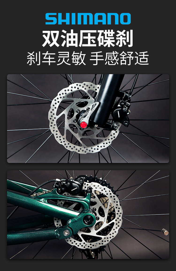 CYC electric-assisted bicycle EM6 aluminum alloy full shock absorption soft-tail mountain bike variable speed off-road vehicle electric bike pic 10