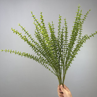 �羳�����ȼ����~�F���ȼ����Ҿ��bGֲ�辰������ķ������