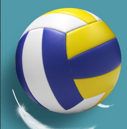 4 # 노란색 파란색 흰색 배구