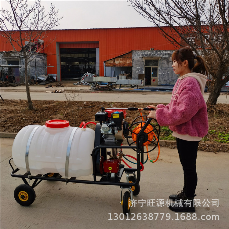 手推汽油打药机 电动手推打药机 轻便型手推打药机