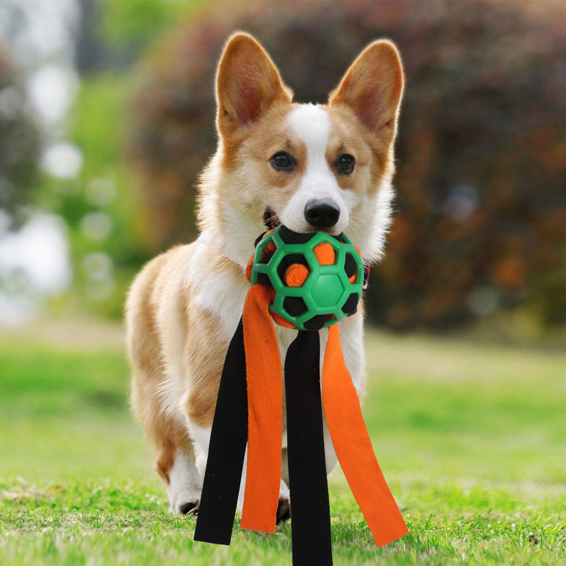Haustierspielzeug, Schnüffelbälle für Haustiere, Blindbox für das interaktive Training mit Futterleckage für Hunde_voghion.com