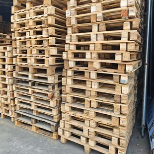 �Ϻ�����ľ�бP���֗����̨���������������ľ�бP���T����ľ�|