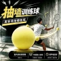 家用专业训练羽毛球