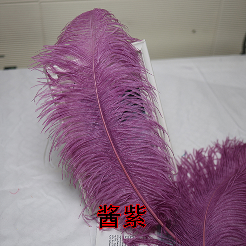 Plumas de avestruz bodas blancas de avestruz guía de plumas accesorios de fotos adornos rojo rosado en línea grandes plumas decoración