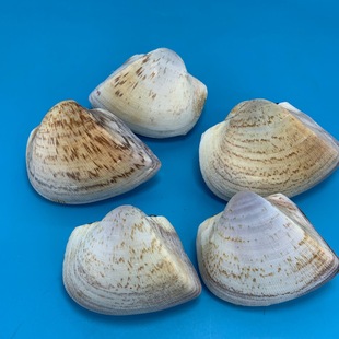 ���Ǹ���Ȼؐ���~��ˮ���쾰���ݾӼҔ[����̨�bzӰ�S�����l