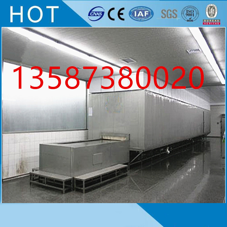 自动化宽网带钢带冲击式隧道速冻机面食类水产类家禽类海鲜类冻结