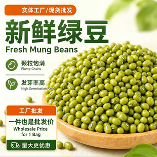 �G�����r�ɰlѿ�|���G���r����ɳ�����ԷN�w��M500g�������l