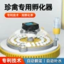 恒温家用跨境自动孵蛋器