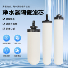 家用净水器7/10寸滤芯插入式可反复擦洗龙头过滤机硅藻土陶瓷芯
