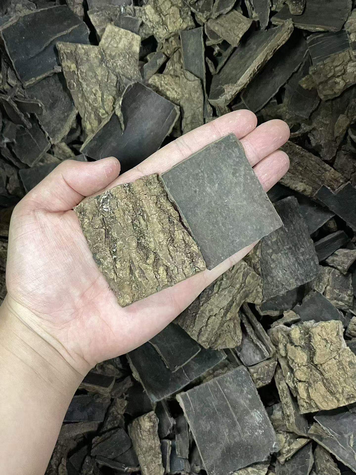 Dried Eucommia Bark Slices Du Zhong 500g Selected Grade for Traditional Herbal Decoction and Soup overview