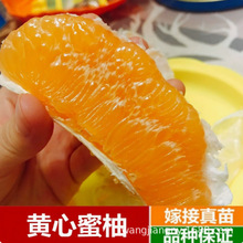 �޽����Ә���t������ɳ�����Ϸ������Nֲ�ش���Y��ͥԺ������