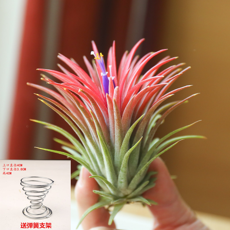 7eb6a1ef-9cd0-4a62-b282-94a2954f8889.jpe