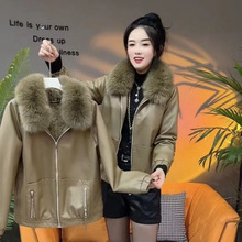 ƤŮӽqӺ񶬼2024ﶬ¿ëI⌒ɕrбůƤA