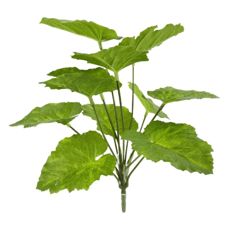 Descuento personalizado planta verde artificial flor artificial tortuga árbol trasero roble árbol de hierro viaje hoja de plátano Banyan Phoenix cola bambú Phoenix cola girasol