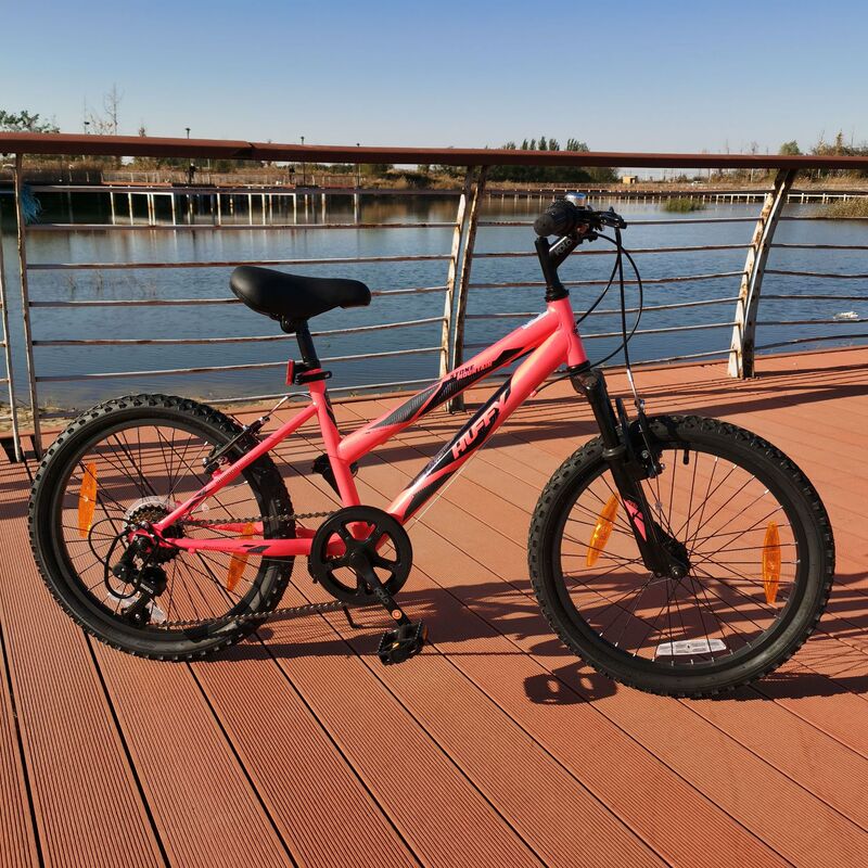 Pedal Bicycle Variable Speed Disc Brake Mountain Bike Road Bike Racing Youth Student Outdoor Sports Cycling Vehicle