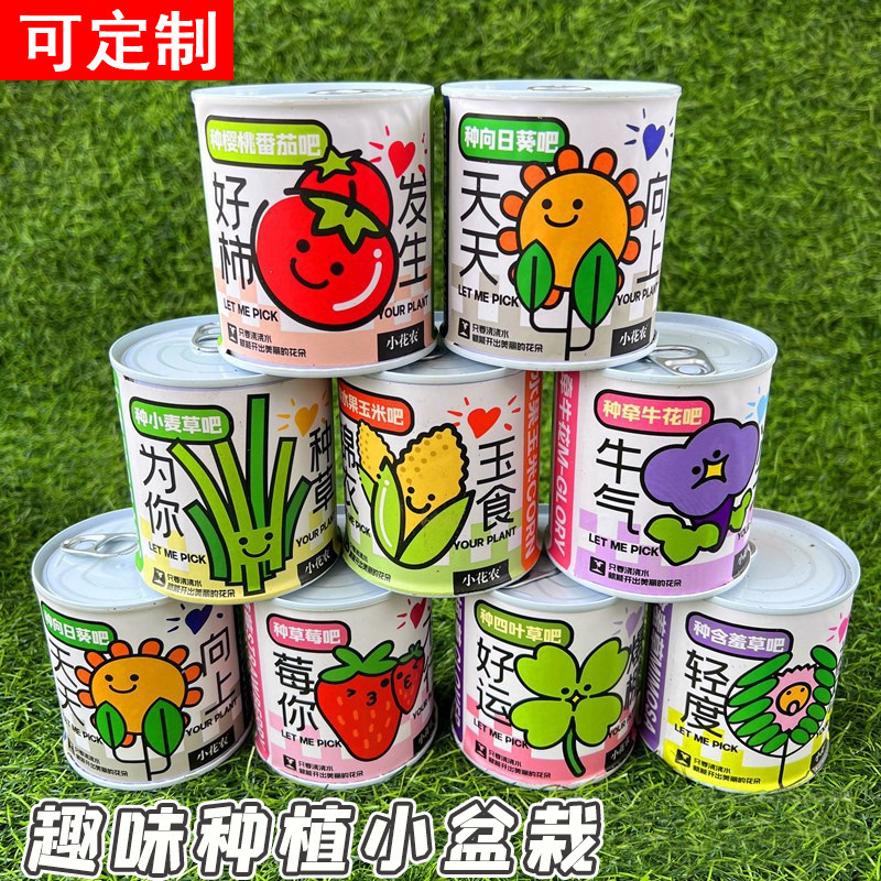 Student Gift Cartoon Plant Can-Shaped Potted Plant Indoor Mini Desktop Green Plant Children's Planting Trendy Can-Shaped Plant Student Gift Cartoon Plant Can-Shaped Potted Plant Indoor Mini Desktop Green Plant Children's Planting Trendy Can-Shaped Plant