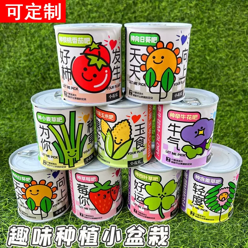开学礼物卡通植物易拉罐盆栽室内迷你桌面小绿植儿童种植网红罐头