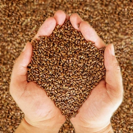 儿童读物;社科生活;手机保护套