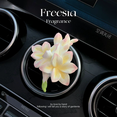 Stone for Car Interior — Car Perfume Aromatherapy