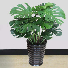 �·��؂�������ˮ�B���B����ֲ�������҃ȾGֲ�辰�S�����l���l