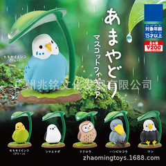 潮玩 盲盒 扭蛋 躲雨的小鸟 鹦鹉 猫头鹰 山雀 鲸头鹳 创意 摆件
