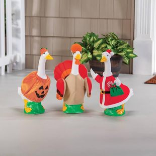 ����˹�����˼Ӹ����S��С�Z�������Ϲ��}�Q�������b23���T���Z