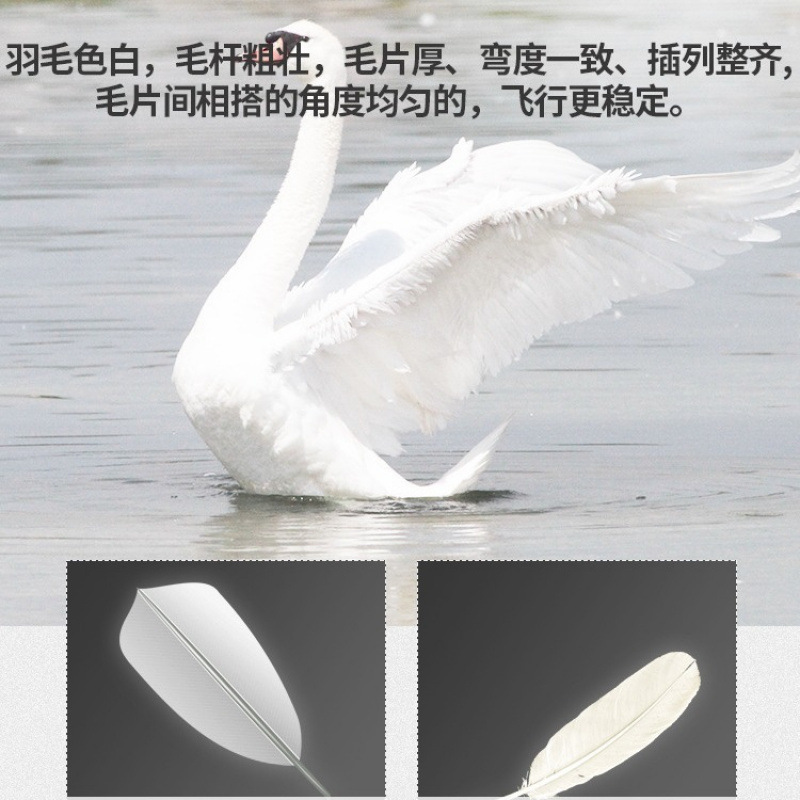 배드민턴은 거위 깃털을 깨기 쉽지 않은 튼튼한 왕 만 갖추고 있습니다. 야외 경쟁 세트 훈련 공