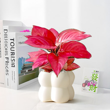 �����t�҃ȾGֲ����ȩ�����՚�������BԢ����\���W�≺��ؔ����