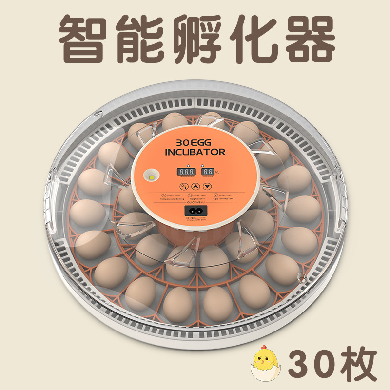 新型国境を越えたアマゾン全自動小型知能電気家庭用鶏鴨ガチョウ恒温孵化器孵化器|undefined