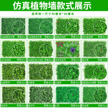 ?��ƺֲ�Gֲ������b��̨�҃ȱ���������������ٲ�Ƥ�T