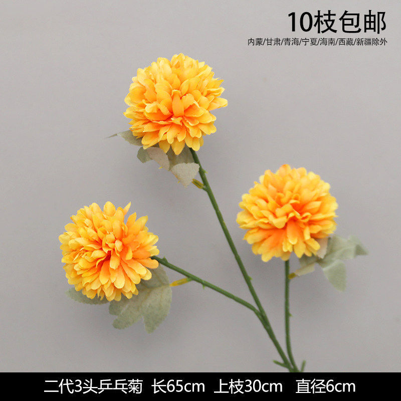 乒乓菊
