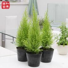 ���G���� ���� �}�QС�ɘ� ��ڰ����� Ƥ�������� �ļ����G���B