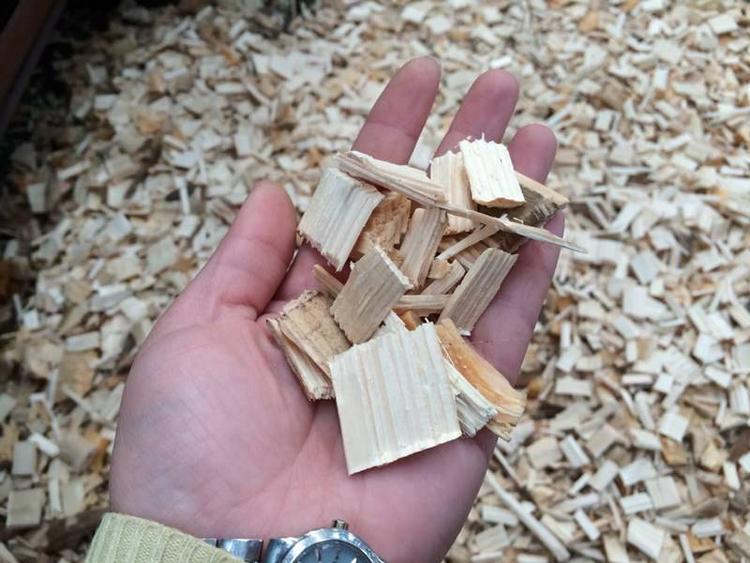 u=2624940006,3283757788&fm