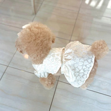 ���ļ������Ứ������С��Ȯ̩�ϱ���؈�������°�ȹ2����